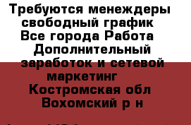 Требуются менеждеры, свободный график - Все города Работа » Дополнительный заработок и сетевой маркетинг   . Костромская обл.,Вохомский р-н